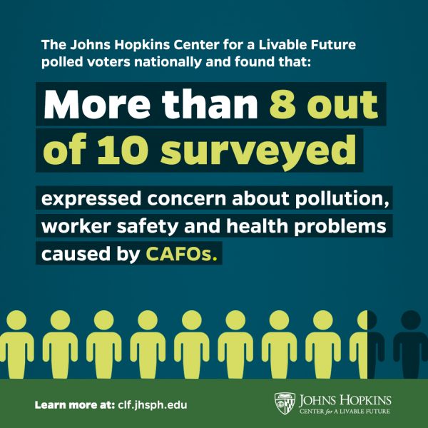Digital Creative: Launch of Johns Hopkins Center for a Livable Future's Moratorium 2019 Poll results 